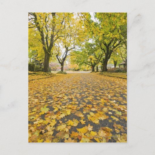 Carte Postale Quartier Est En Automne (Devant)