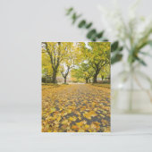 Carte Postale Quartier Est En Automne (Debout devant)