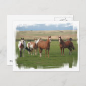 Carte postale Quartier Horse Herd (Devant / Derrière)