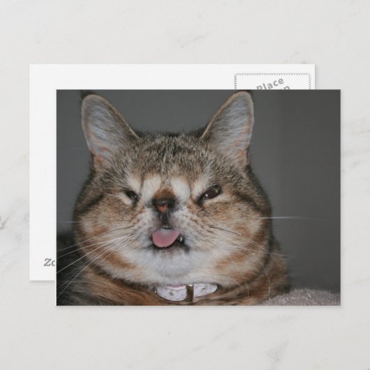 Carte postale Quasi (Devant / Derrière)