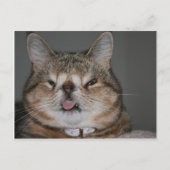 Carte postale Quasi (Devant)