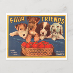 Carte Postale Quatre amis Vintage Crate Étiquette