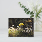 Carte Postale Quatre balades blanches (Debout devant)