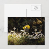 Carte Postale Quatre balades blanches (Devant / Derrière)