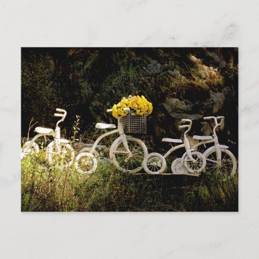 Carte Postale Quatre balades blanches (Devant)