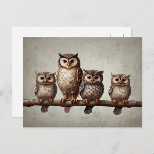 Carte Postale Quatre Charmants Chouettes (Devant / Derrière)