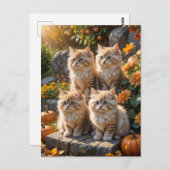 Carte Postale Quatre chatons d'automne en feuillu avec Citrouill (Devant / Derrière)