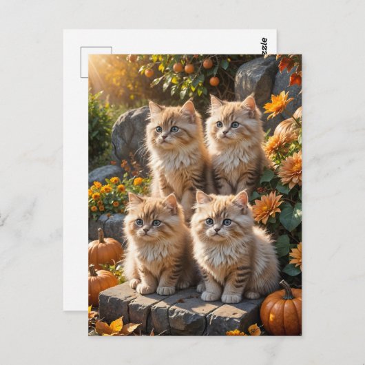 Carte Postale Quatre chatons d'automne en feuillu avec Citrouill (Devant / Derrière)