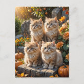Carte Postale Quatre chatons d'automne en feuillu avec Citrouill (Devant)