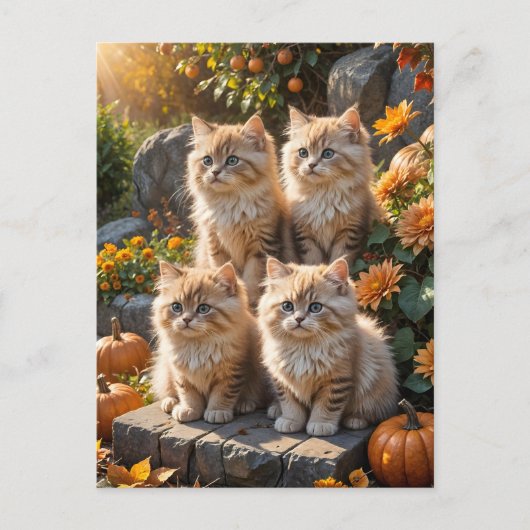 Carte Postale Quatre chatons d'automne en feuillu avec Citrouill (Devant)