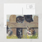 Carte Postale Quatre Chatons Jouant Illustration Vintage (Devant / Derrière)