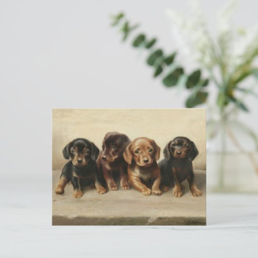 Carte Postale Quatre chiots teckel | Carl Reichert (Debout devant)