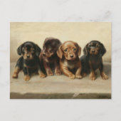 Carte Postale Quatre chiots teckel | Carl Reichert (Devant)