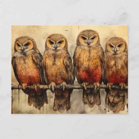 Carte Postale Quatre Chouettes (Devant)