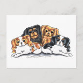 Carte Postale Quatre CKCS (Devant)