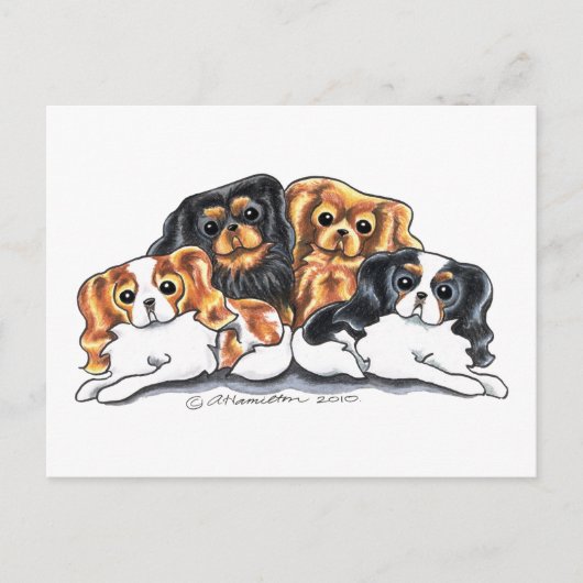 Carte Postale Quatre CKCS (Devant)