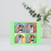 Carte Postale Quatre couleurs Zebra Finch (Debout devant)