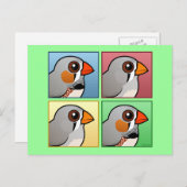 Carte Postale Quatre couleurs Zebra Finch (Devant / Derrière)