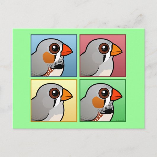 Carte Postale Quatre couleurs Zebra Finch (Devant)