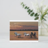 Carte Postale quatre en main (Debout devant)