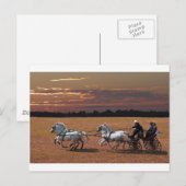 Carte Postale quatre en main (Devant / Derrière)