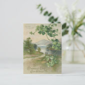 Carte Postale Quatre feuilles Clover Killarney Mountain (Debout devant)