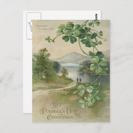 Carte Postale Quatre feuilles Clover Killarney Mountain (Devant / Derrière)