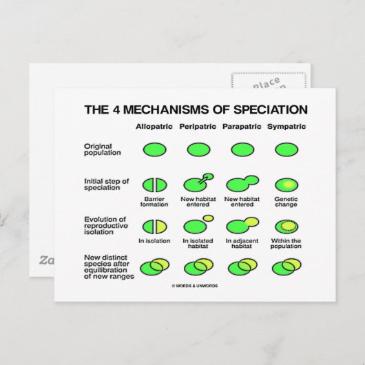 Carte Postale Quatre Mécanismes De Spécialisation (Évolution) (Devant / Derrière)