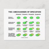 Carte Postale Quatre Mécanismes De Spécialisation (Évolution) (Devant)