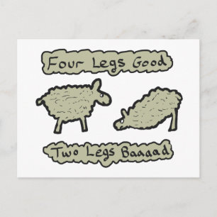Carte Postale Quatre pattes