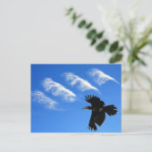Carte Postale Quatre Plumes (Debout devant)