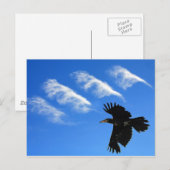 Carte Postale Quatre Plumes (Devant / Derrière)