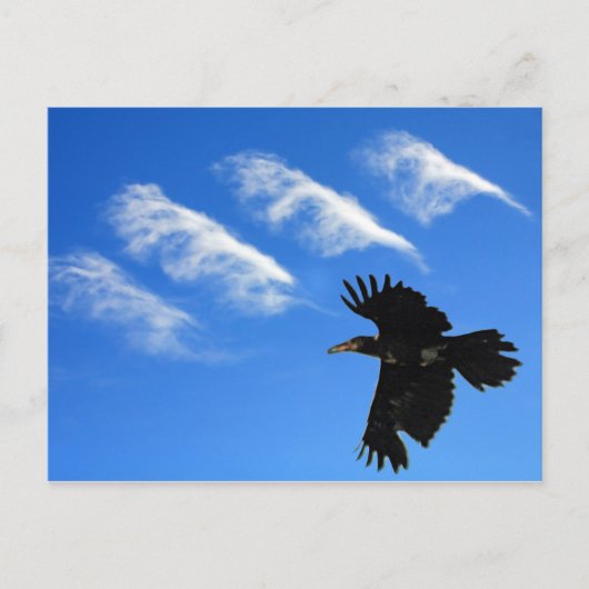 Carte Postale Quatre Plumes (Devant)