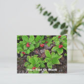 Carte Postale Quatre-temps avec fruits (Debout devant)