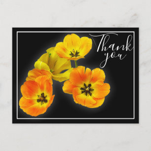 Carte Postale Quatre Tulipes Jaune Orange Fond Noir Merci