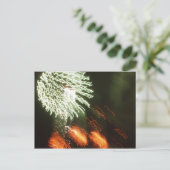 Carte Postale Quatrième des feux d'artifice de juillet (Debout devant)