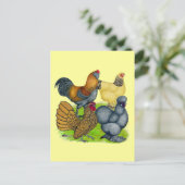 Carte Postale Quatuor Bantam (Debout devant)