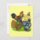 Carte Postale Quatuor Bantam (Devant / Derrière)