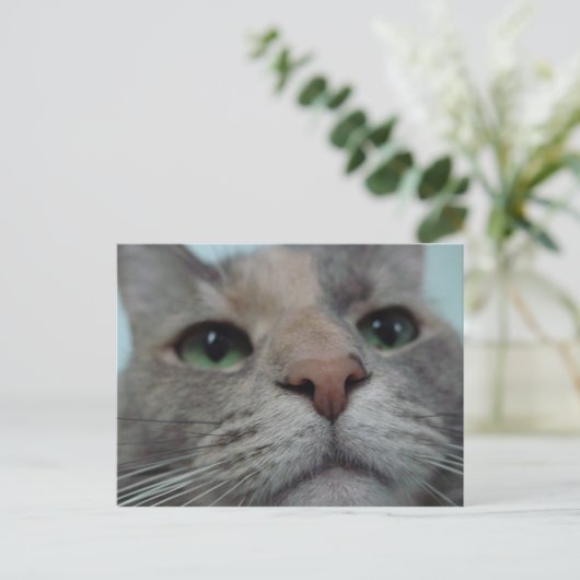 Carte Postale Que fait Ya ? (Debout devant)