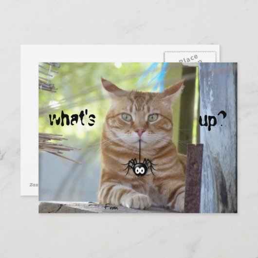 Carte Postale que se passe-t-il ? (Devant / Derrière)