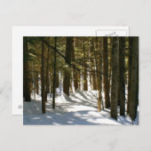 Carte Postale Quechee, VT (Devant / Derrière)