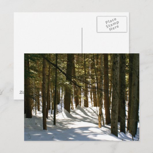 Carte Postale Quechee, VT (Devant / Derrière)