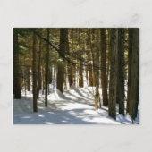 Carte Postale Quechee, VT (Devant)