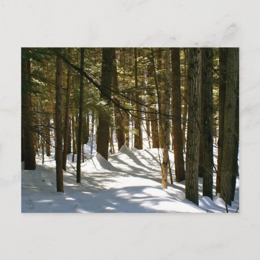 Carte Postale Quechee, VT (Devant)