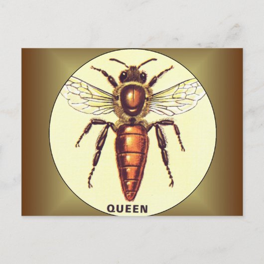 Carte Postale Queen Bee (Devant)