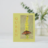 CARTE POSTALE QUEEN BUTTERFLY (Debout devant)