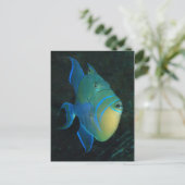 Carte postale Queen Triggerfish (Debout devant)