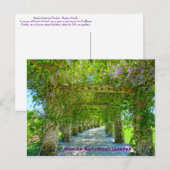 Carte Postale Queen's Wreath Naples Jardin botanique, Floride (Devant / Derrière)