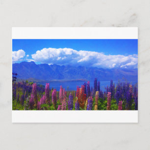 Carte Postale Queenstown Nouvelle Zélande de loup au-dessus du