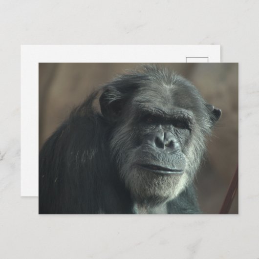 Carte Postale Quel visage ? (Devant / Derrière)